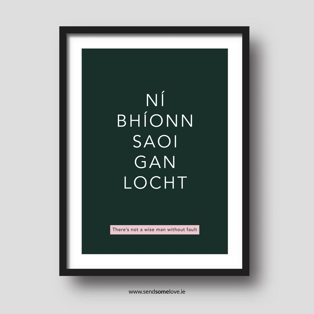 Ní bhíonn saoi gan locht -  Irish sayings