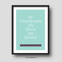 Load image into Gallery viewer, Ní thuigeann an sách an seang - Irish sayings
