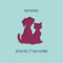 Load image into Gallery viewer, Pack of 4. Cards for all Occasions
